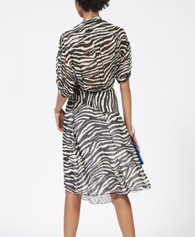 Location Robe ISABEL MARANT Juyane 4